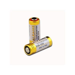 2 pièces Pile Alkaline Batterie 23A 12 V / A23,VA23GA,MS21/MN21 haute tension