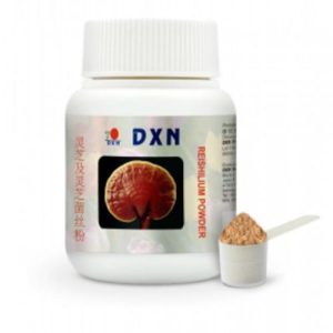 Poudre de Ganoderma Reishi de DXN 70 g