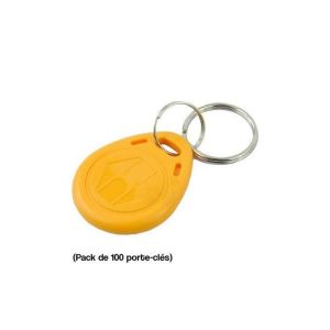 Porte-clés d'accès sans contact RFID 125KHz (100 pièces jaune) - RFID TAG