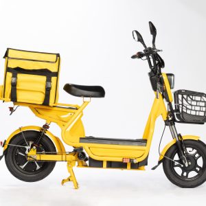 Scooter Électrique XHR 500