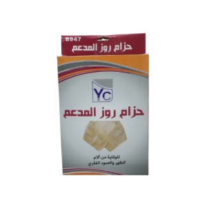 Ceinture lombaire renforcée, support dorsal réglable, attelle vertébrale, entraîneur de cou