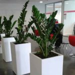 Pot en Résine Carré 80x35 cm – Design & Résistance