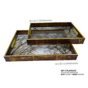 2 Plateaux de Service en Bois et Verre Imprimé, Élégance Praticité Deco Design Table Basse Bureau