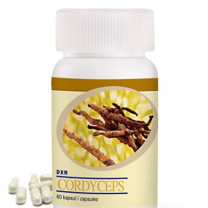 Cordysibs DXN